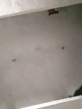 Mafiya0102 online show from 16, 1, 2026