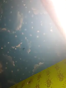 arushi bb online show from 12, 2, 2026