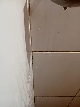 gordaomg42 online show from 11, 1, 2026