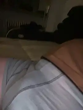 Hamsterdich online show from 13, 2, 2026