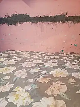 Soni 299 online show from 13, 3, 2026