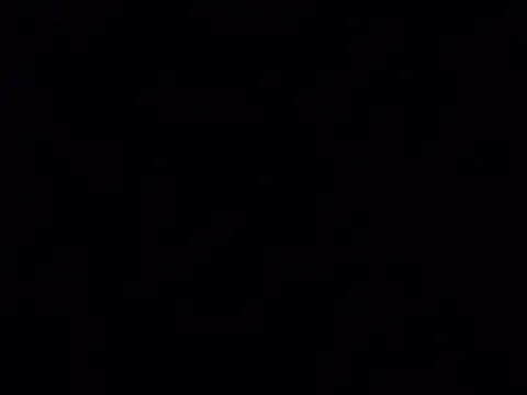 Notty 67 online show from 7, 3, 2026