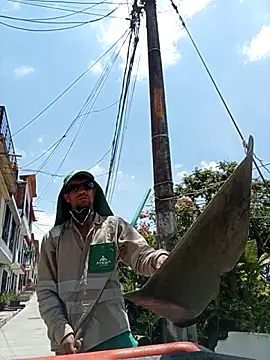 torvyHot online show from 2, 3, 2026