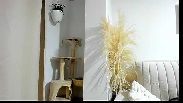  Sweet ary online show from 8, 4, 2026