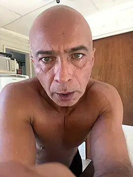 dogfrota online show from 19, 3, 2026