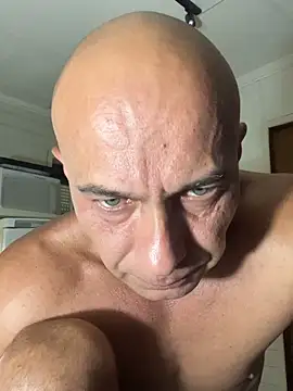 dogfrota online show from 5, 2, 2026