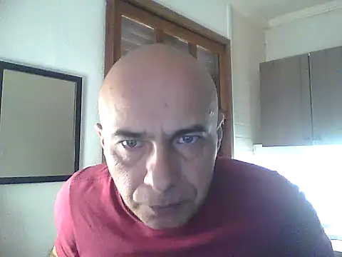 dogfrota online show from 29, 5, 2026
