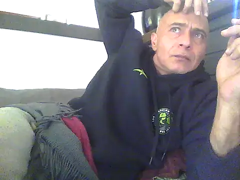 dogfrota online show from 2, 6, 2026