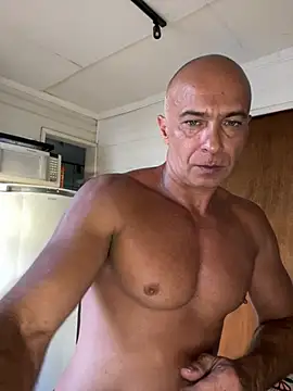 dogfrota online show from 26, 2, 2026