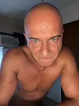 dogfrota online show from 7, 3, 2026