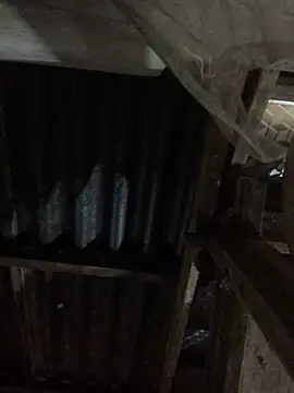 sun-shii online show from 30, 3, 2026