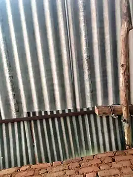 Hot di97 online show from 2, 4, 2026