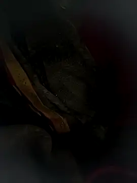 Hot bh64 online show from 24, 3, 2026