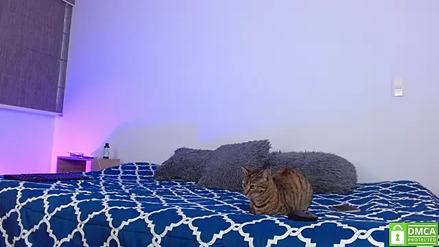 Noyrx online show from 16, 2, 2026