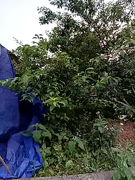 -Likin- online show from 10, 4, 2026