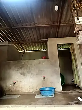 -Likin- online show from 31, 3, 2026