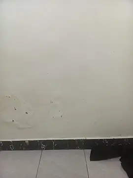 PatriciaVen online show from 3, 2, 2026