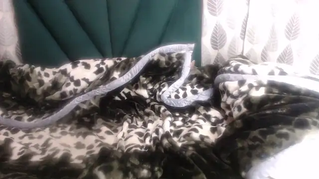 Nellybba online show from 8, 3, 2026