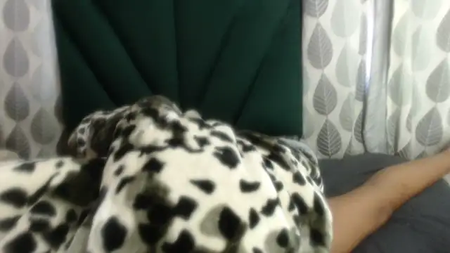 Nellybba online show from 27, 3, 2026