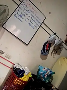 caliente2026porti online show from 12, 1, 2026