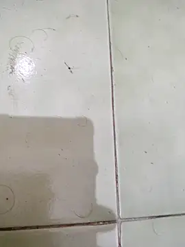 Snapshot of TamilBoy3007 chatting on 6, 2, 2026 TamilBoy3007 online show from 6, 2, 2026