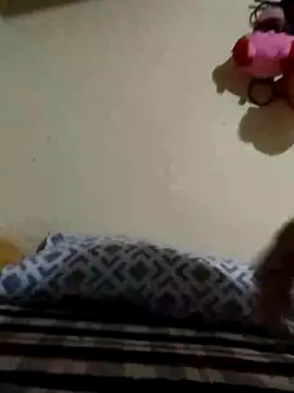 kefdady online show from 17, 3, 2026