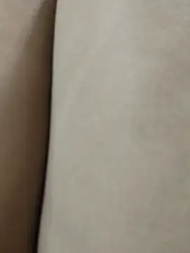 Bunny 2k online show from 17, 1, 2026