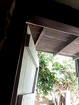 dicklife3485 online show from 20, 2, 2026