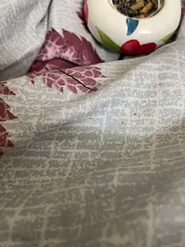 Arushridelong online show from 14, 1, 2026