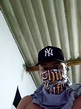 novinho br29 online show from 1, 2, 2026