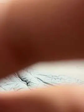 elephant0 online show from 13, 1, 2026