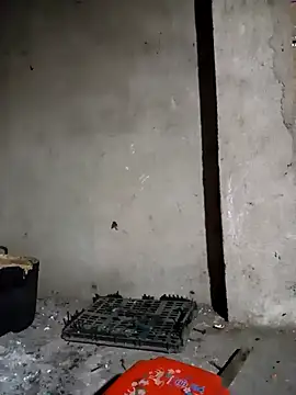 Nga x9 online show from 24, 3, 2026