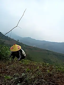 Nga x9 online show from 13, 3, 2026