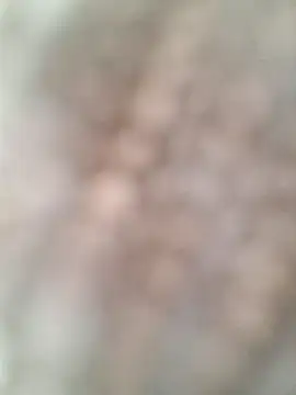 allenyalana online show from 24, 2, 2026