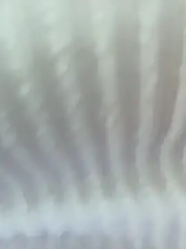 Your Enyel online show from 3, 2, 2026