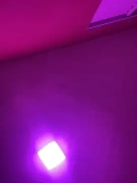 Snapshot of MorenaCariok chatting on 17, 2, 2026 MorenaCariok online show from 17, 2, 2026