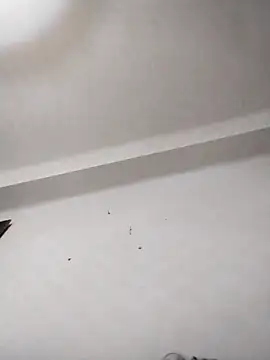 Snapshot of anastasiadaniela chatting on 12, 2, 2026 anastasiadaniela online show from 12, 2, 2026