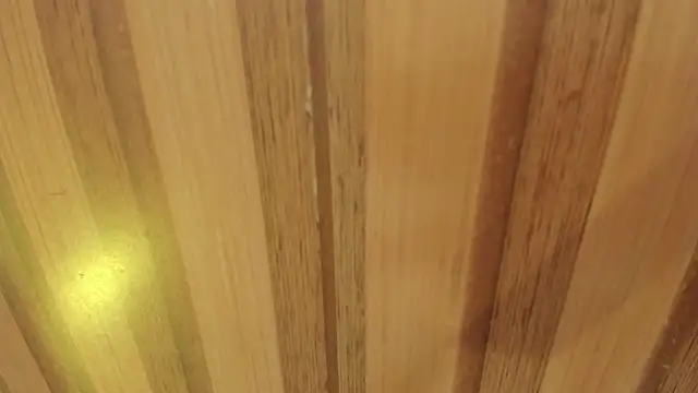 sweet  luna   online show from 13, 4, 2026