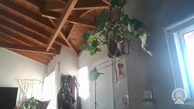 aircum99 online show from 18, 3, 2026