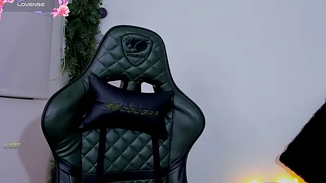 Noaah25  online show from 4, 4, 2026