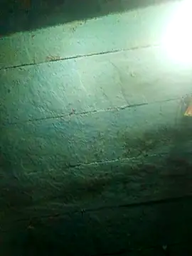 priyasharma899 online show from 13, 2, 2026