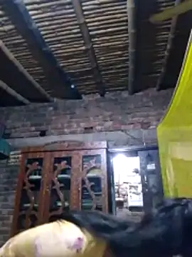 Hot Sweeti online show from 8, 4, 2026