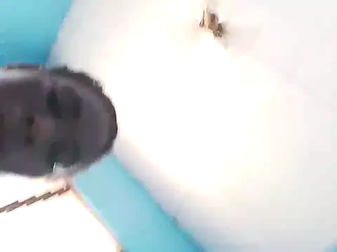 bigassx468 online show from 5, 3, 2026