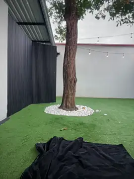 Namii cute online show from 6, 2, 2026