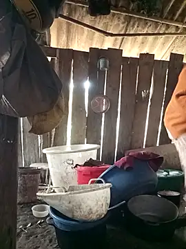 Bling sexy online show from 2, 3, 2026