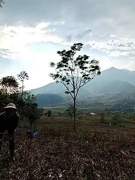 Jooj- online show from 22, 3, 2026