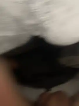 luisestrada003 online show from 15, 1, 2026