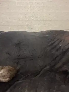 AlisRoxy online show from 15, 3, 2026