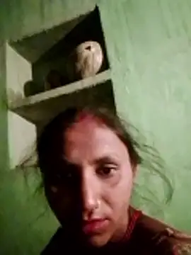 Juli rathore online show from 21, 2, 2026