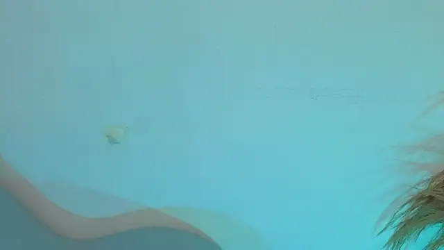 Snapshot of fransheskarossi chatting on 26, 6, 2026 fransheskarossi online show from 26, 6, 2026